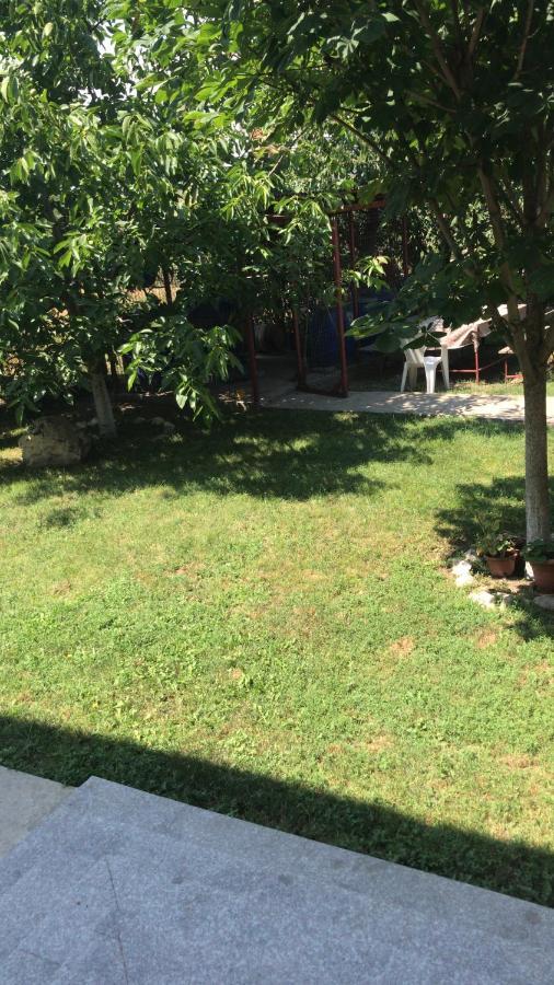 Villa Rosa Năvodari Exterior foto